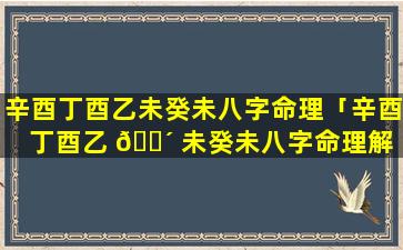 辛酉丁酉乙未癸未八字命理「辛酉丁酉乙 🐴 未癸未八字命理解 🦁 析」